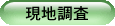 現地調査